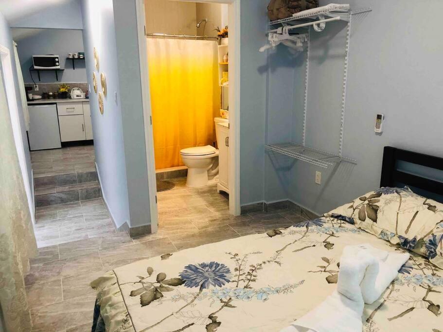 New Luxurious Studio Private In The Heart Of Miami Exterior photo