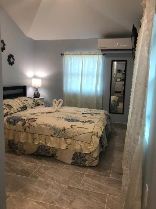 New Luxurious Studio Private In The Heart Of Miami Exterior photo