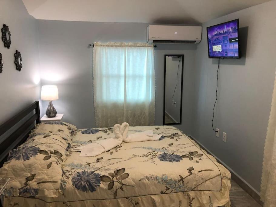 New Luxurious Studio Private In The Heart Of Miami Exterior photo
